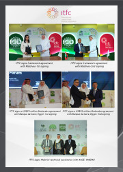 Photo-Collage-1-day-3.jpg