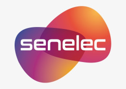 Senelec1.jpg